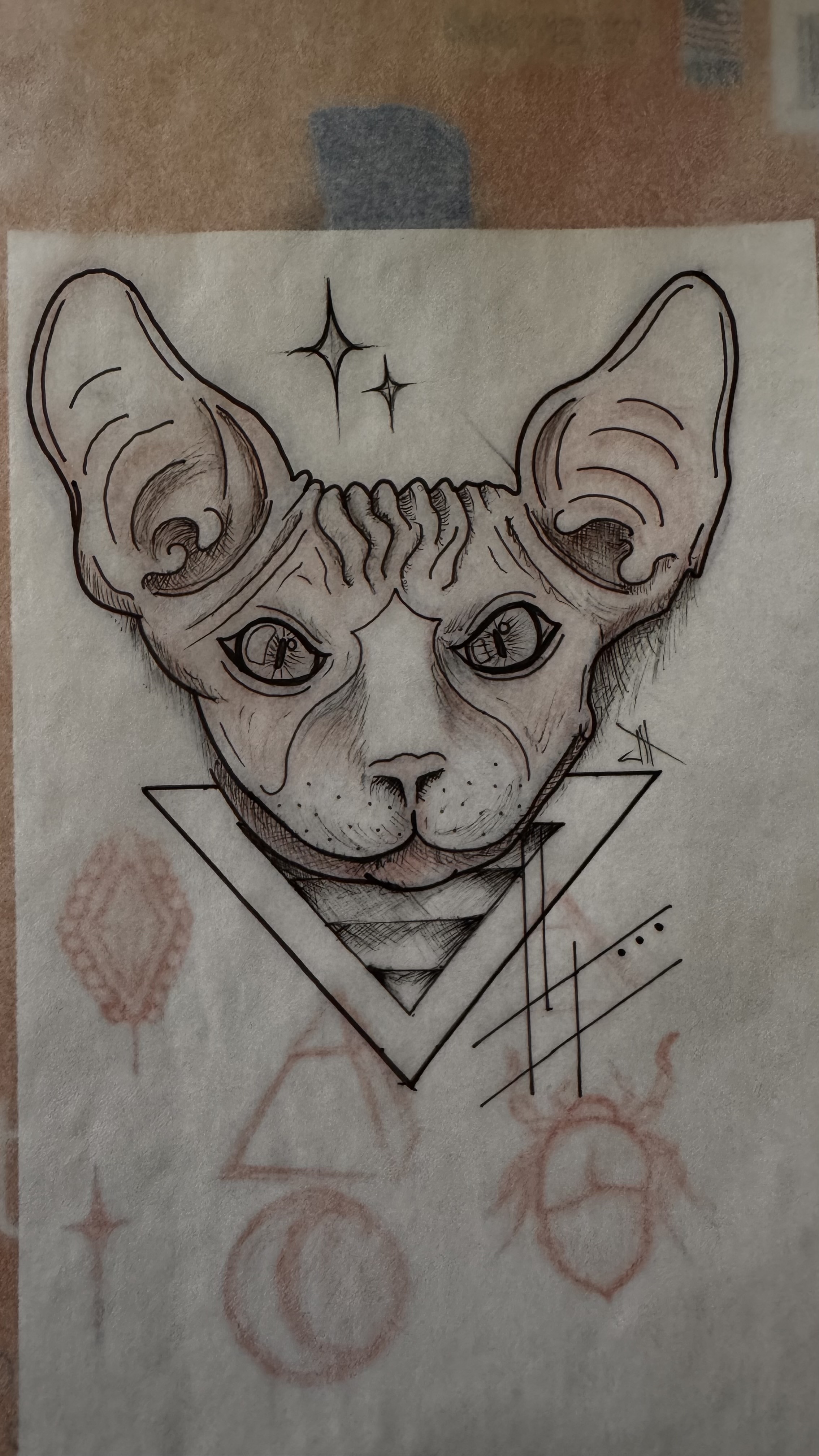 Portfolio piece
