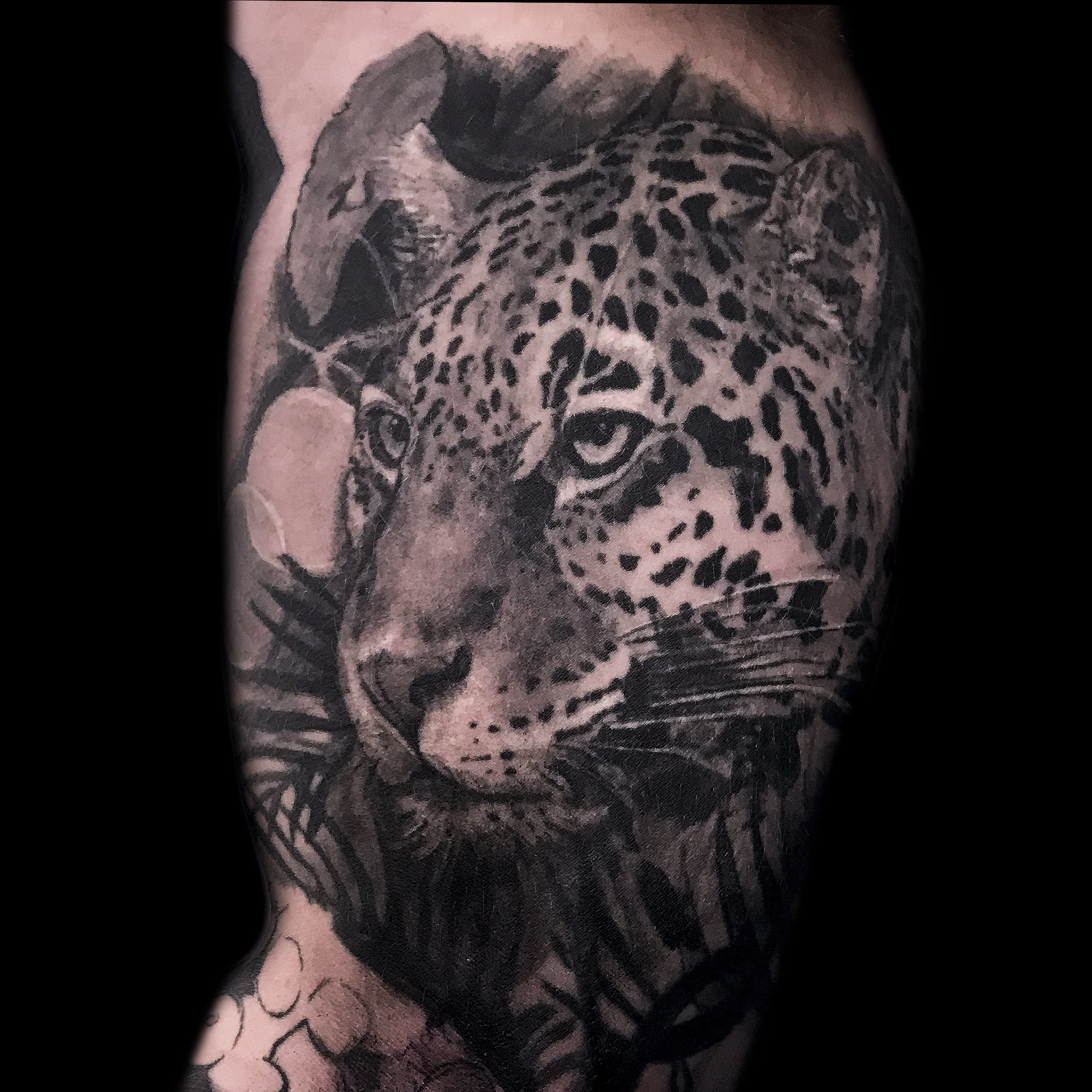 Tattoo portfolio piece by @samalandra